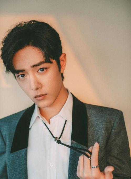 吃瓜罗伯特肖战