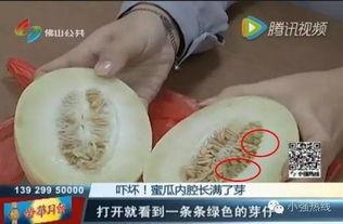 随机吃瓜13集,揭秘娱乐圈背后的秘密与真相