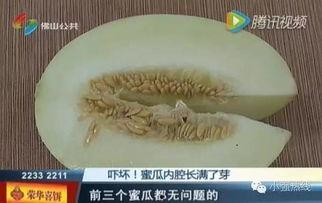 随机吃瓜13集,揭秘娱乐圈背后的秘密与真相