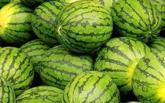 横市吃瓜大赛,吃瓜大赛一触即发，全民狂欢盛宴