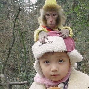 吃瓜鬼脸视频,网络红人的搞笑瞬间