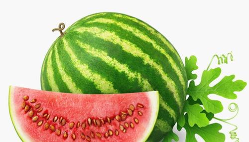 剪发不耽误吃瓜,揭秘高效生活新法则