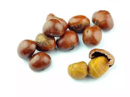 白板栗瓜怎样吃,白板栗瓜的多彩食法探索