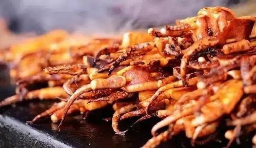 摸鱼吃瓜画饼鱿鱼,揭秘网络流行语的趣味与内涵