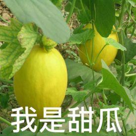 狗哥吃瓜群众,揭秘娱乐圈幕后风云