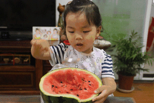 狗哥吃瓜群众,揭秘娱乐圈幕后风云