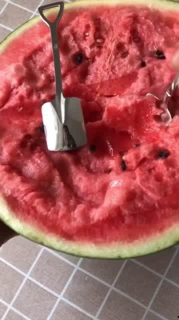 迷你小铲子吃瓜,瓜田里的欢乐食客
