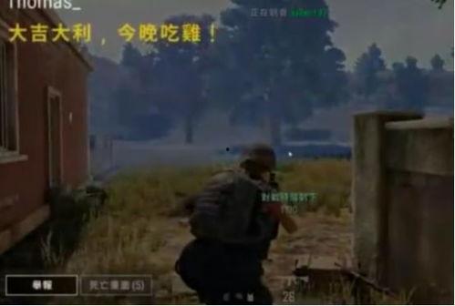 臭瓜吃鸡,一场奇妙的美食冒险之旅