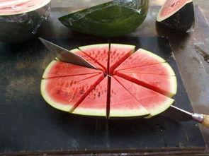 吃瓜少男摆件,揭秘吃瓜少男摆件的魅力与故事