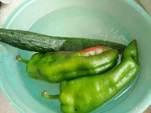 古茗照片吃瓜,揭秘网红饮品背后的故事