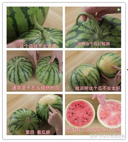 优美风景吃瓜,邂逅自然与甜蜜的完美融合