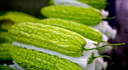 吃瓜连下载,揭秘热门瓜子的下载攻略与技巧