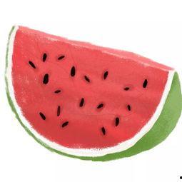 吃瓜连下载,揭秘热门瓜子的下载攻略与技巧