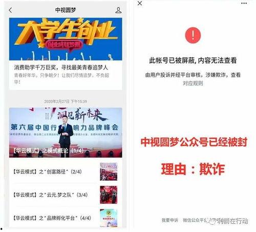 云嘻传媒吃瓜,揭秘娱乐圈最新“吃瓜”热点