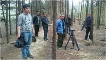 吃瓜群众团队照片真实,一张照片背后的真实故事