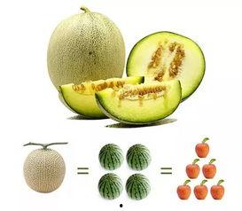 瓜老幺吃雪糕,清凉一夏的甜蜜记忆