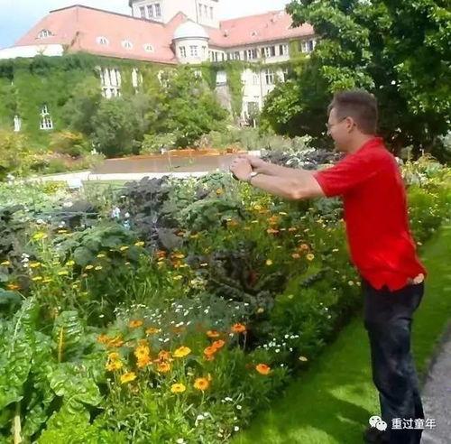 塞尔达小镇吃瓜