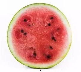 怎样吃瓜没有籽,告别籽粒烦恼