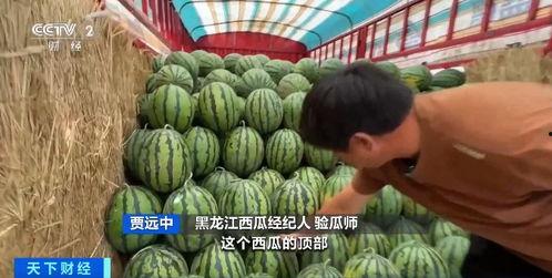 李建勋吃瓜,揭秘娱乐圈幕后故事