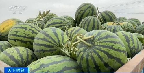 八百万粉丝吃瓜,揭秘网络吃瓜文化的崛起与影响