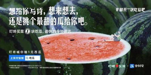 秋日吃瓜文案怎么写好,解锁秋季美食新体验