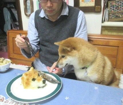 微笑吃瓜变狗头,网络表情的演变与趣味