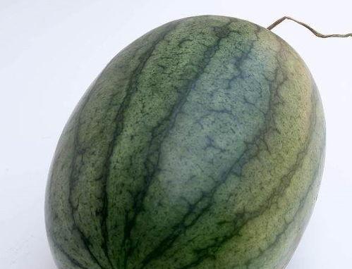 吃瓜是上午吃的吗,吃瓜时间之谜——是上午还是其他时段？