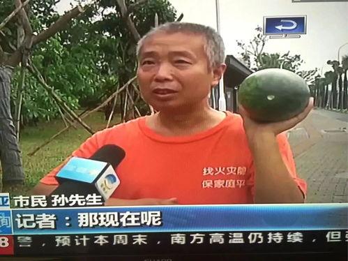 靖远吃瓜群众事件,网络舆论下的社会现象解析