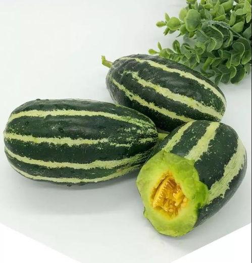 洋瓜尖可以吃,美味与营养并存的绿色食材