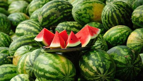 吃瓜很甜,揭秘甜蜜背后的秘密