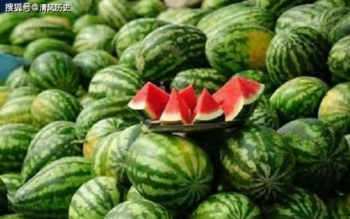 施柔儿吃瓜,揭秘娱乐圈幕后真相