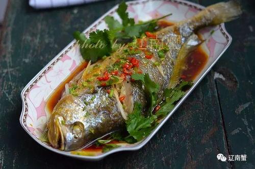 鱼吃小白瓜吗,探究水族与蔬果的奇妙关系