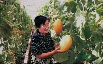 瓜奶奶怎么吃,解锁美味新体验