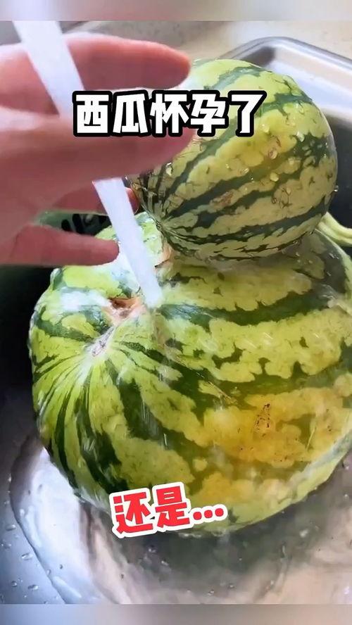 吃瓜视频配乐大全,盘点热门短视频必听神曲